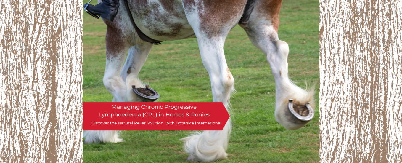 CPL Chronic Progressive Lymphoedema