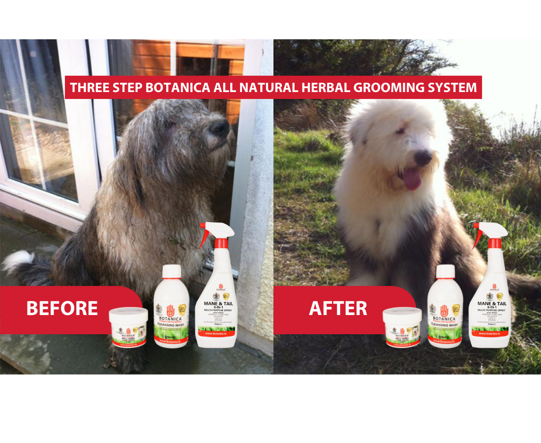 Keep Your Pet’s Skin & Coat Healthy with Botanica